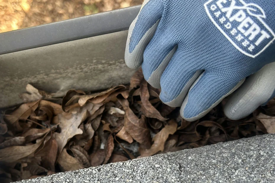 Plum Gutter Cleaning
