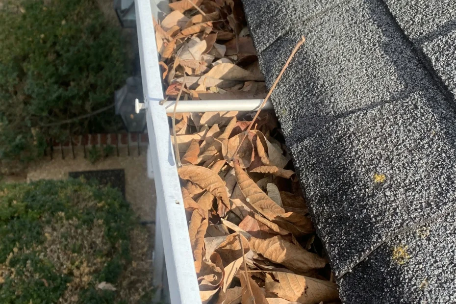 Plum Gutter Cleaning