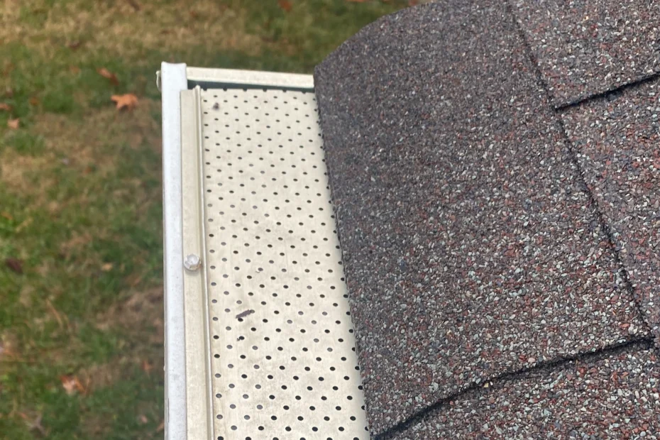 Plum Gutter Cleaning